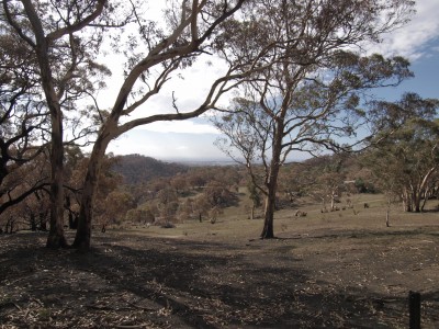 Towards Gawler from Mt Gawler