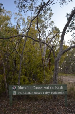 Morialta Conservation Park   the location of our operation