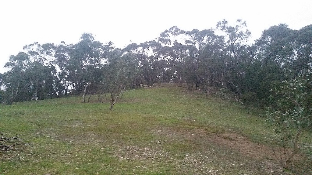 The operating Spot was in a small clearing just up among the trees 